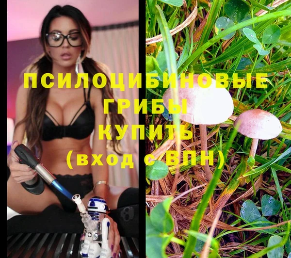 марки lsd Осинники
