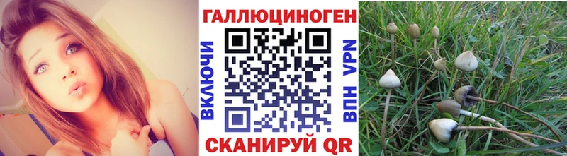 Галлюциногенные грибы мухоморы  Тольятти 