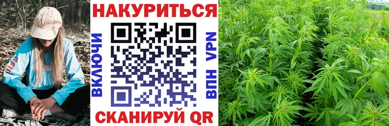 Конопля конопля  Тольятти 
